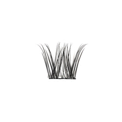 Pre-Glued Seamless Cluster Lashes 101