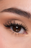 Cluster Lashes 02