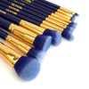 Wonderstruck Collection | 12pc Makeup Brush Set