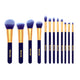 Wonderstruck Collection | 12pc Makeup Brush Set
